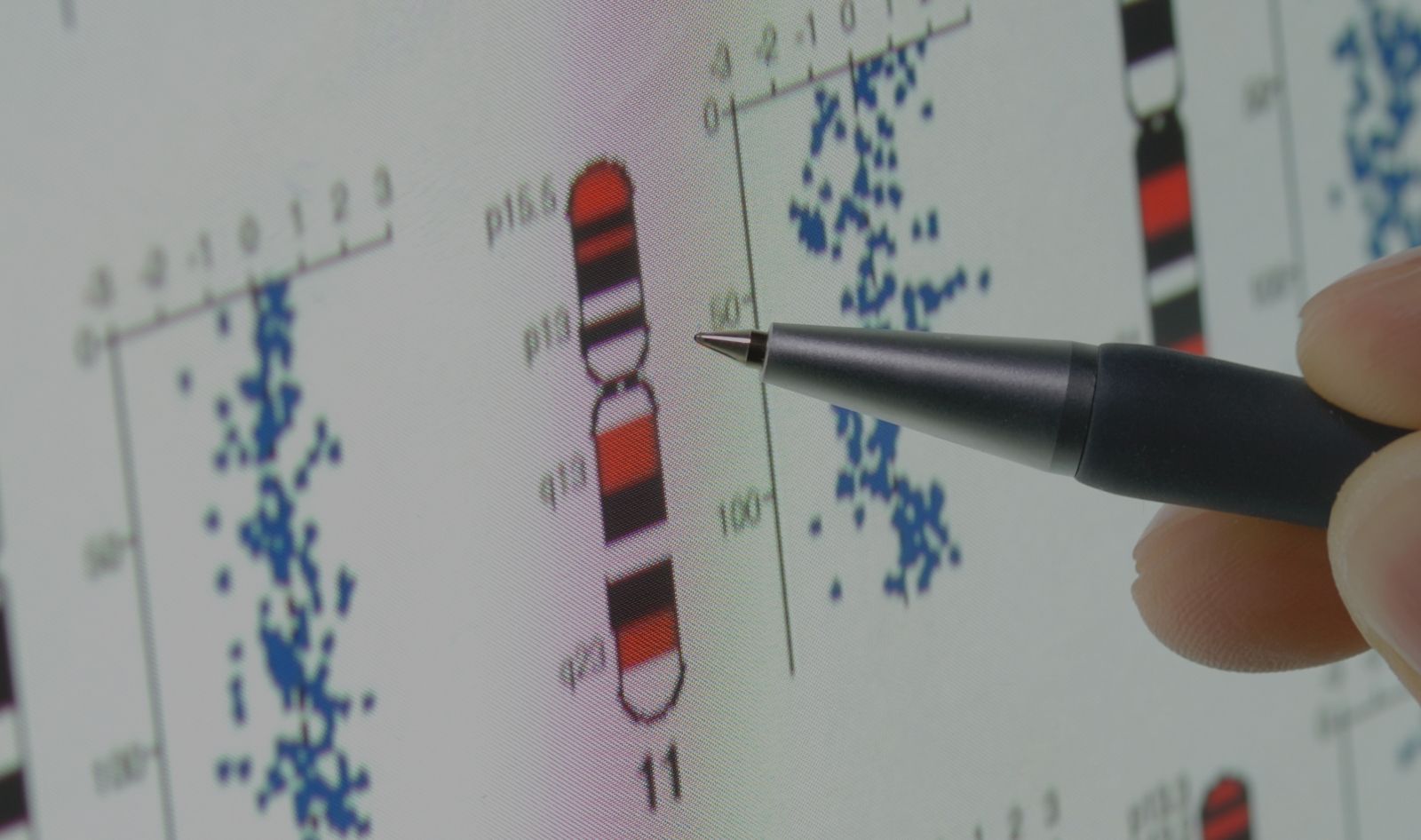 Reference Migraton applications